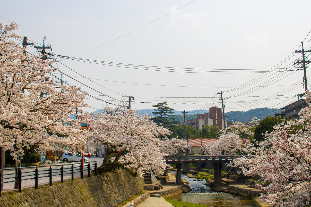 義烏貝村路570，繁華都市中的獨特地標(biāo)探尋