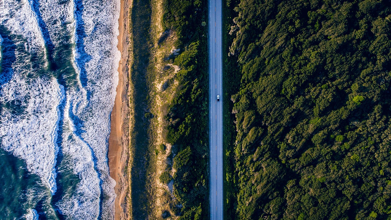 地壇，海與樹的交融之美，自然之魂的展現(xiàn)