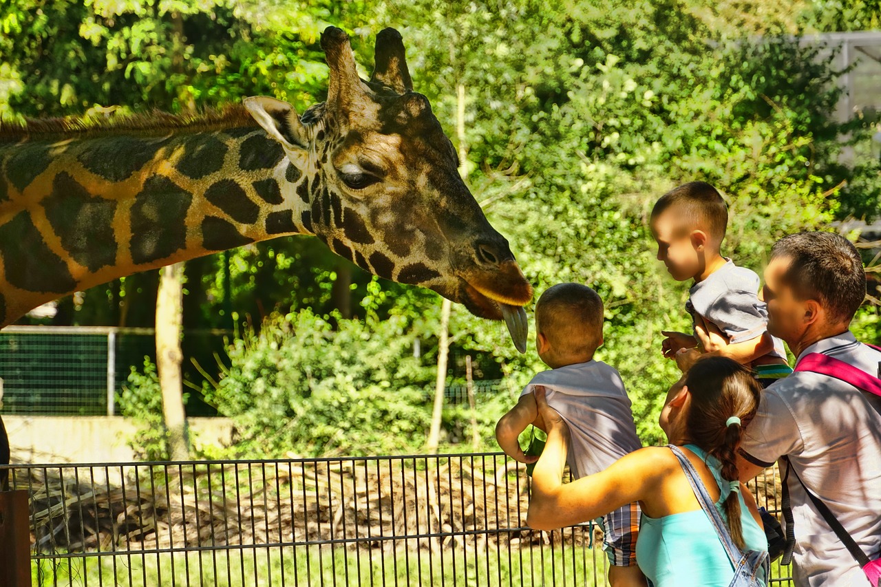 動(dòng)物園探秘，奇妙動(dòng)物世界之旅