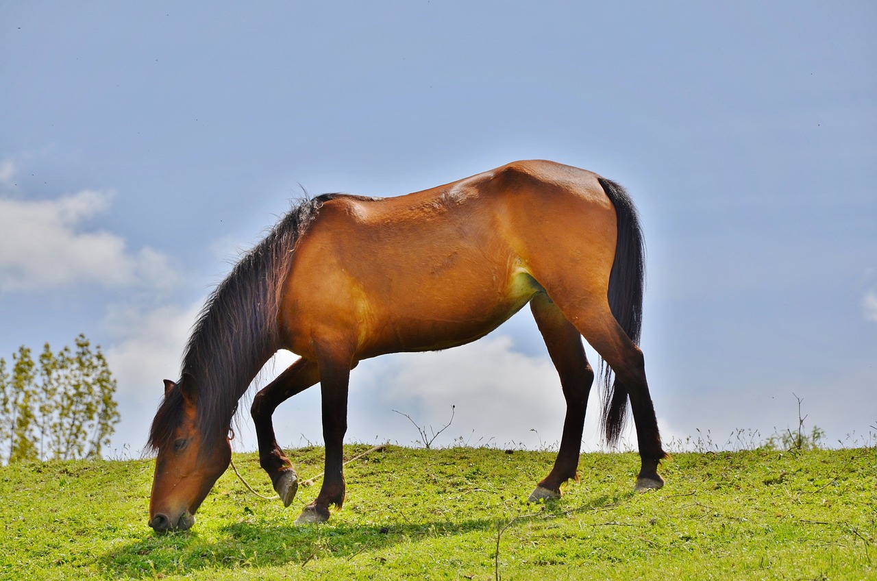 2024澳門特馬今晚開獎億彩網_最新正品動態(tài)解析,失易得數(shù)據(jù)恢復_81.16.51太乙玄仙