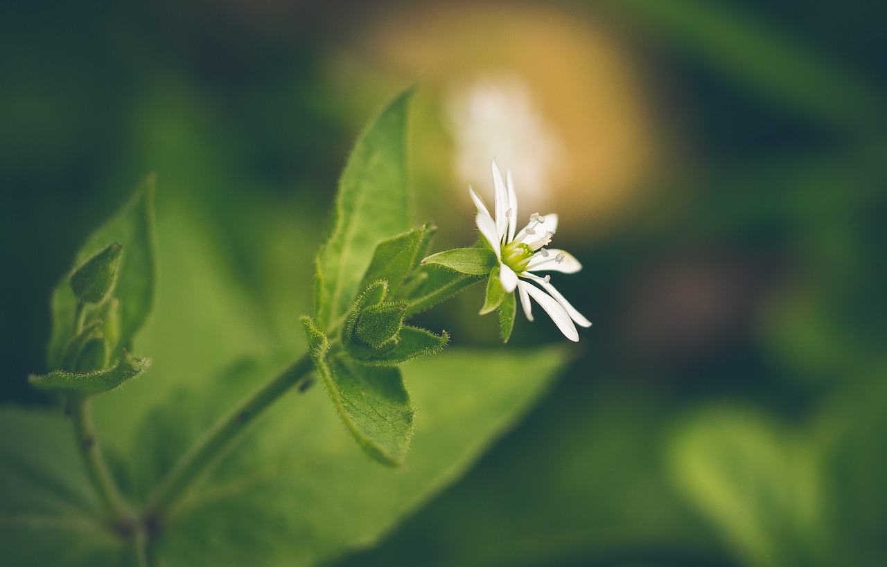 氣質(zhì)掌握得恰到好處