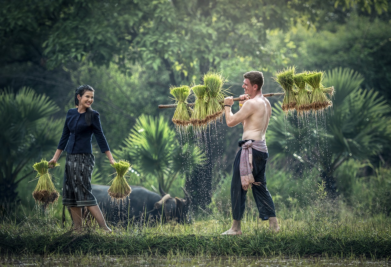 生物奧秘揭秘，生命的獨(dú)特魅力與探索之路