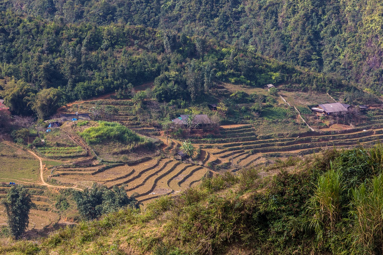 陽江歷史地理探尋，原屬何地區(qū)？