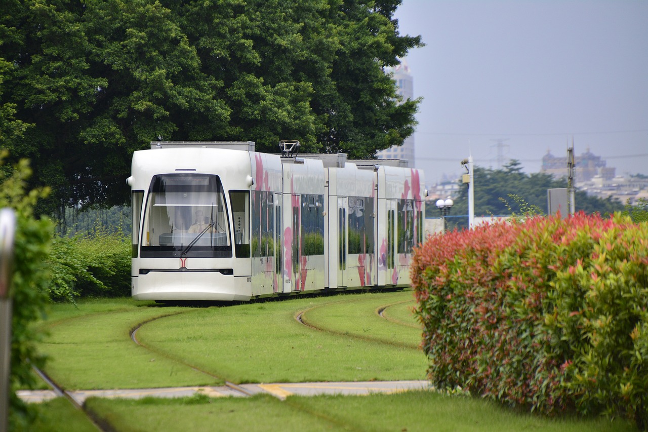 廣州提車之旅，活力與便捷并存